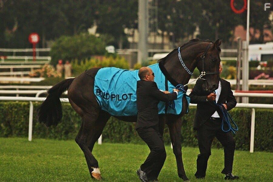 Bizim Iin Sampiyon (2018)