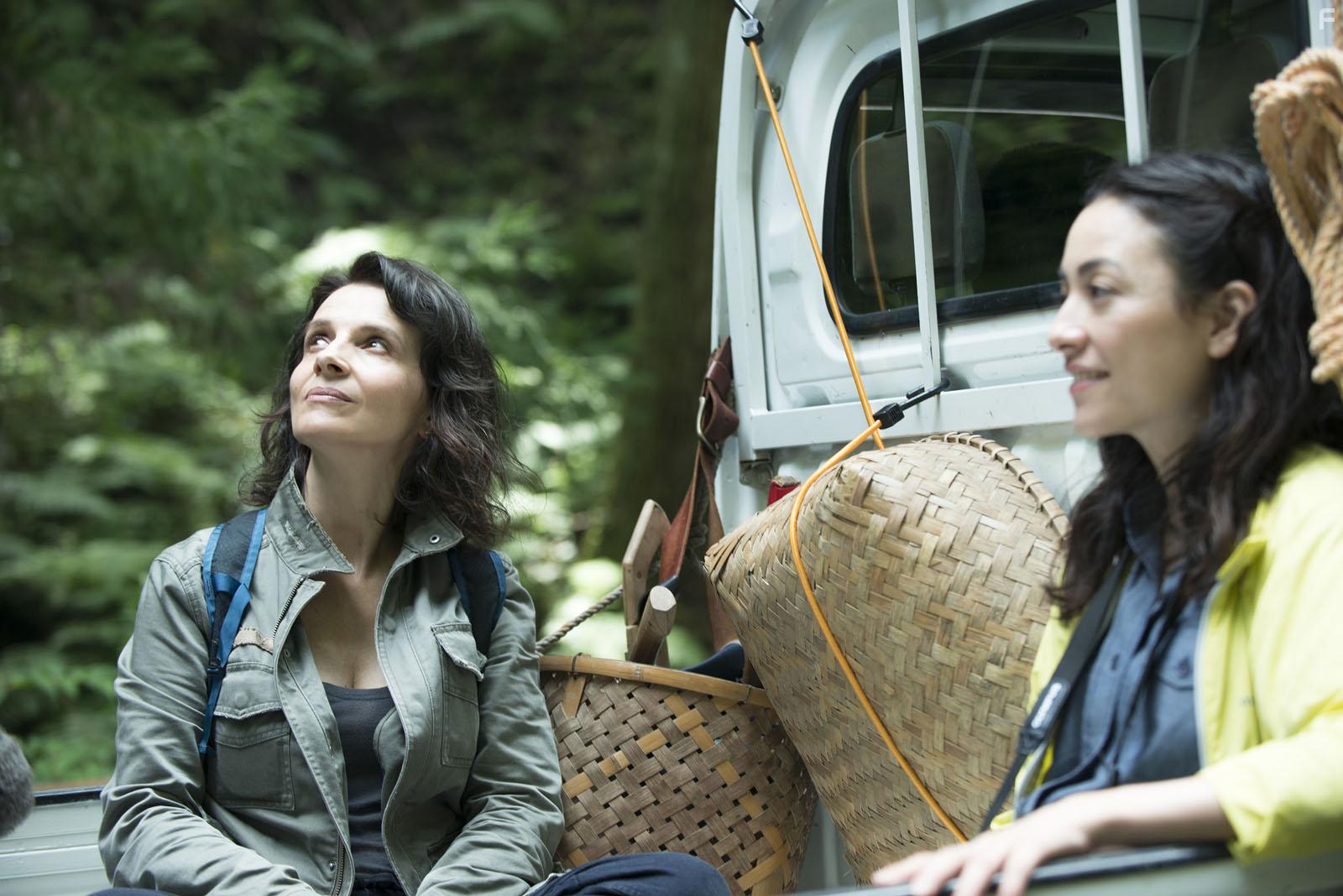 Juliette Binoche in Vision (2018)