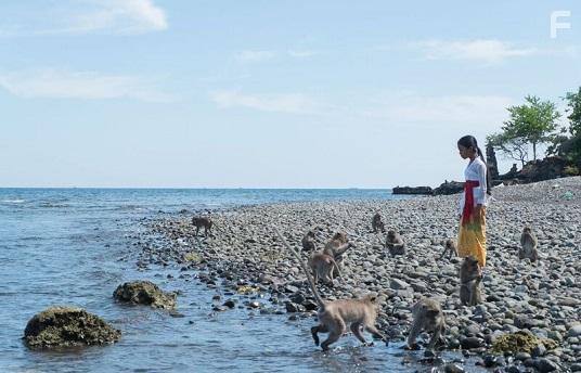 Sekala Niskala (2017)