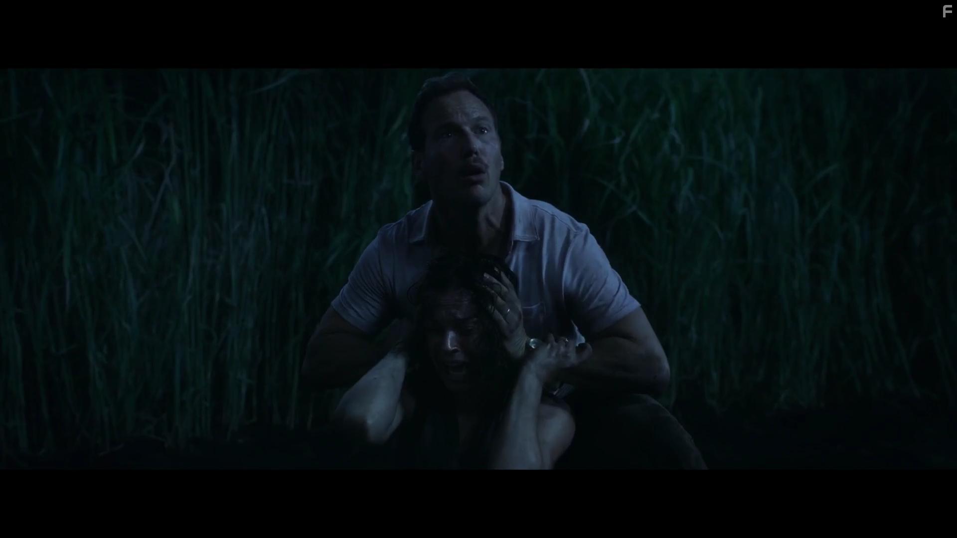 Patrick Wilson and Rachel Wilson in In the Tall Grass (2019)