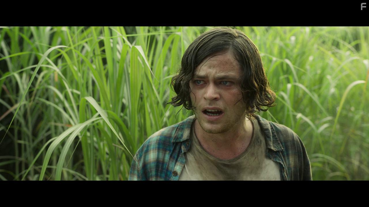 Harrison Gilbertson in In the Tall Grass (2019)