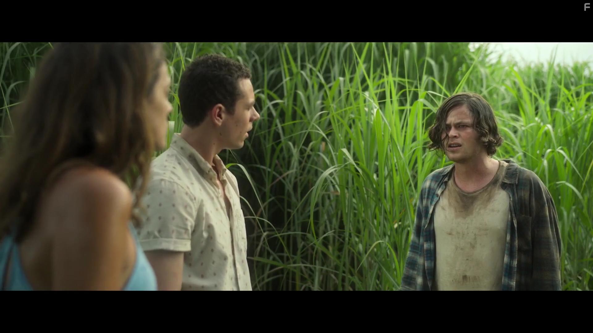 Avery Whitted, Harrison Gilbertson, and Laysla De Oliveira in In the Tall Grass (2019)