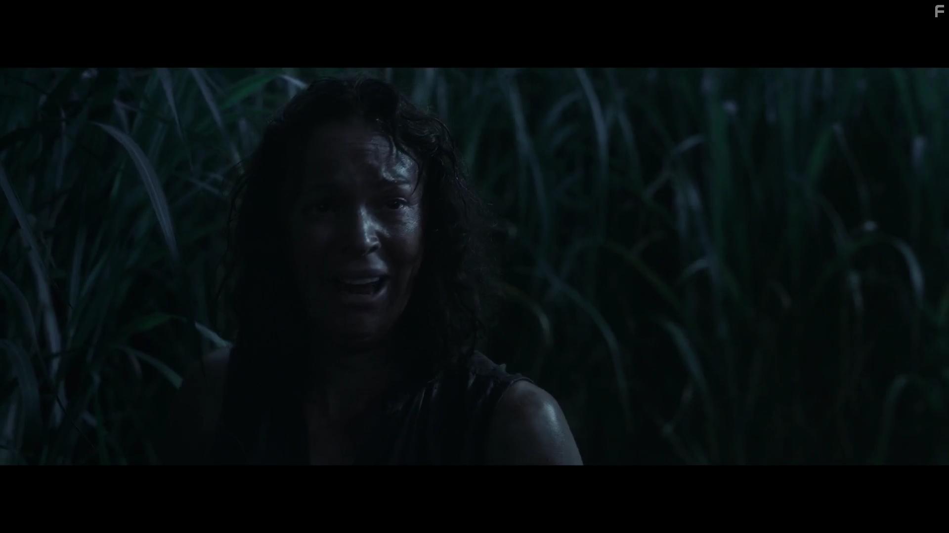 Rachel Wilson in In the Tall Grass (2019)