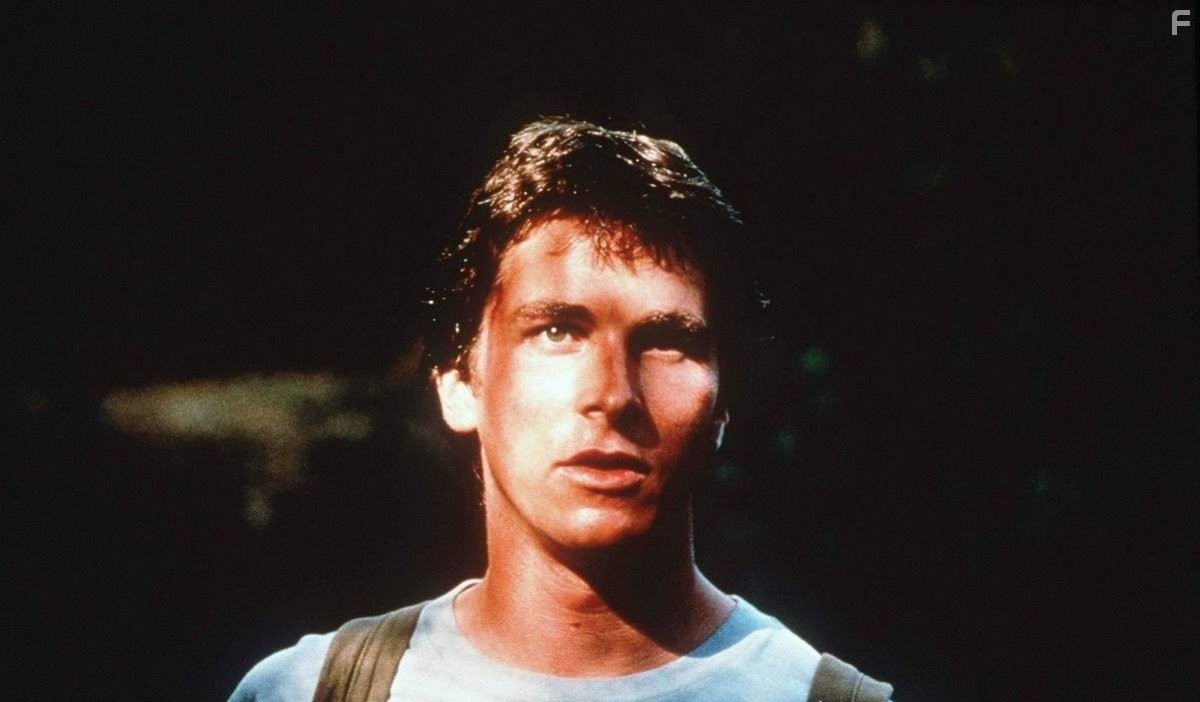 Все маленькие животные