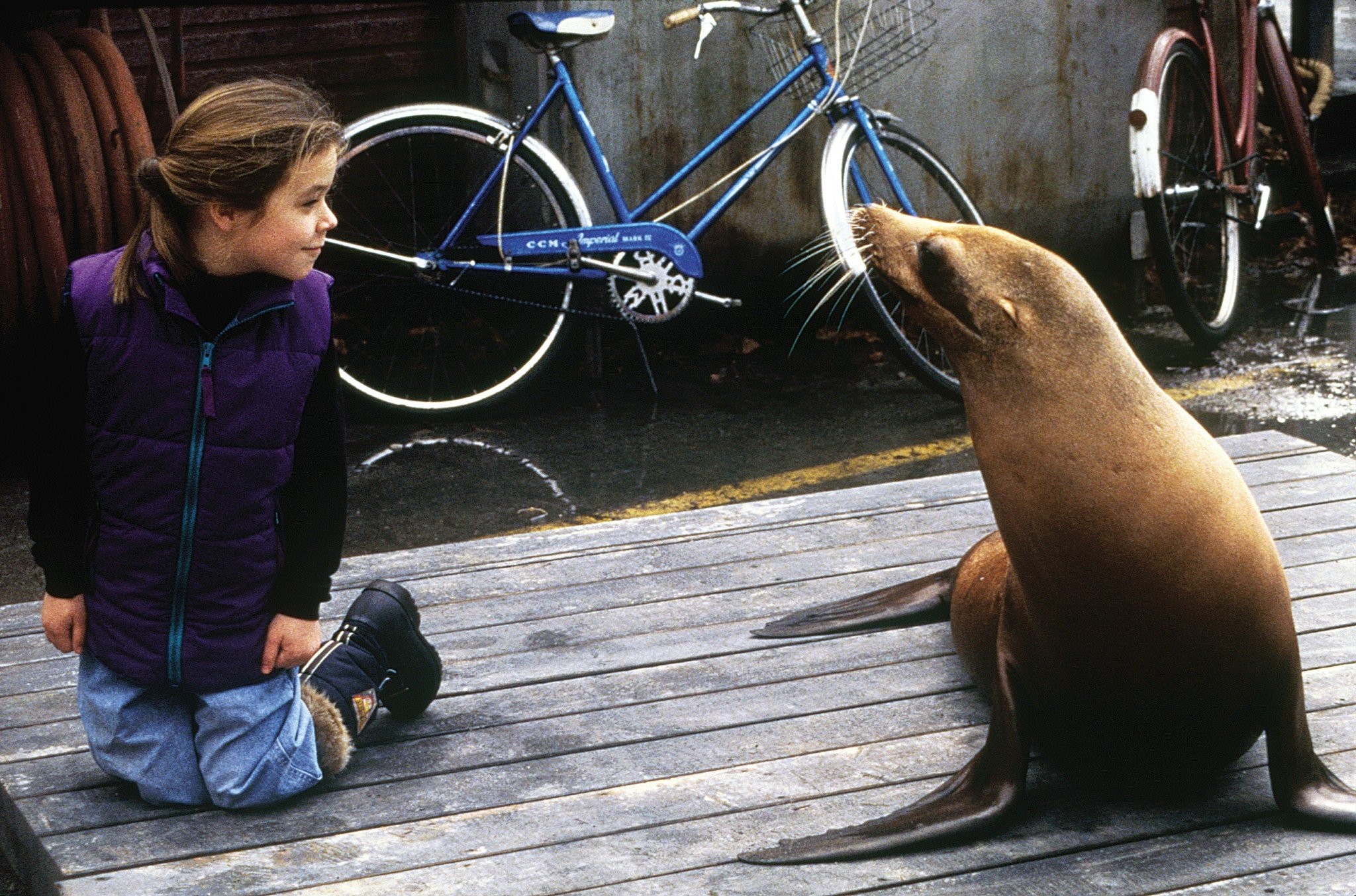 Tina Majorino and Tory The Sea Lion in Андре (1994)