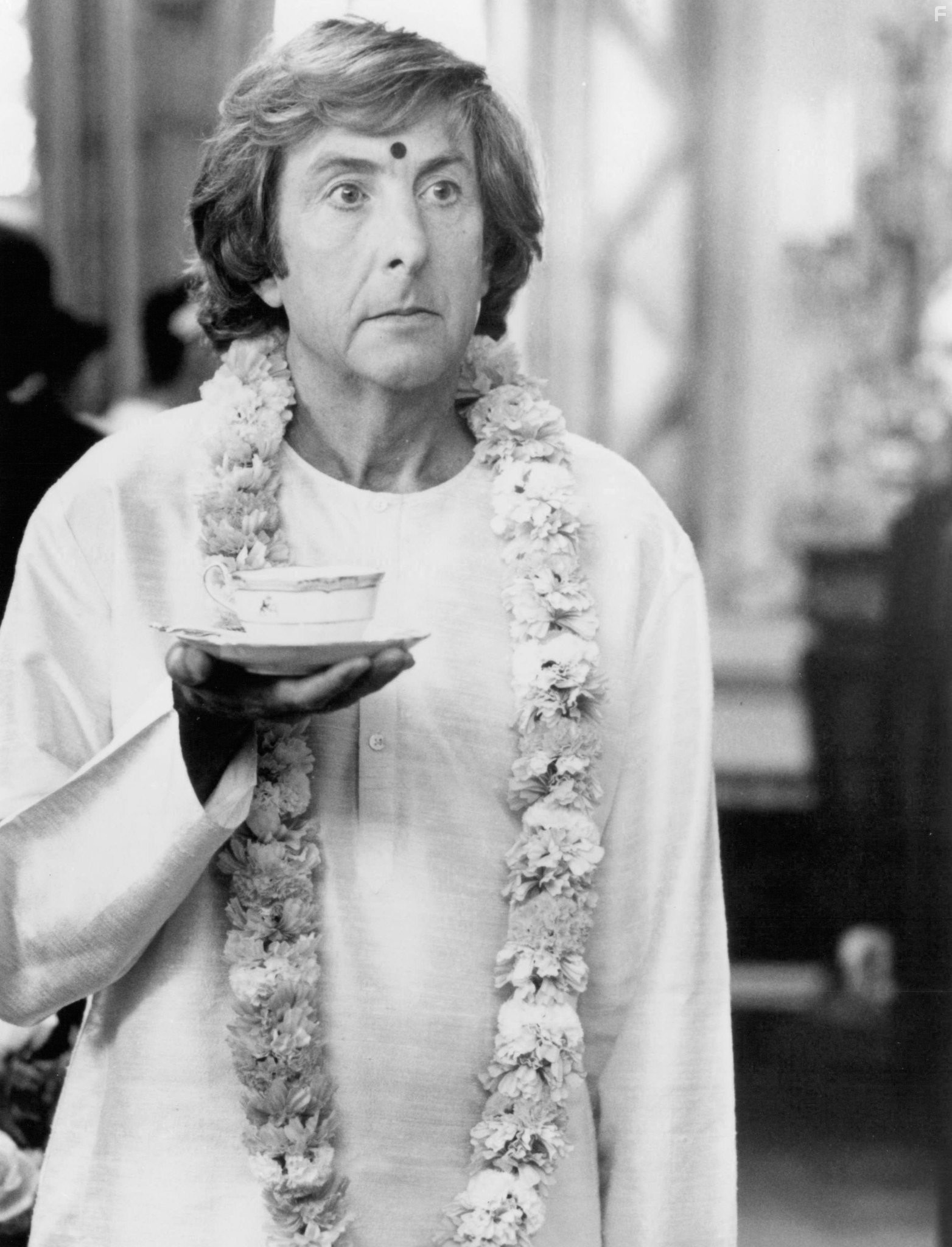 Eric Idle in Перепутанные наследники (1993)