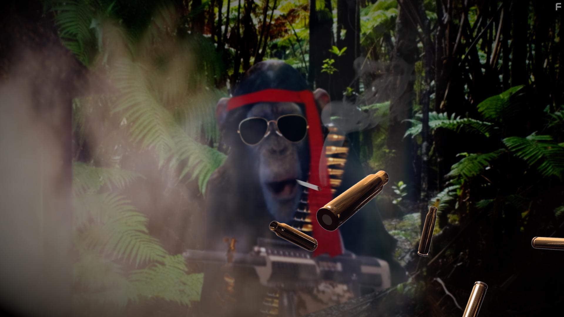 Chop Chop Chang: Operation C.H.I.M.P (2019)