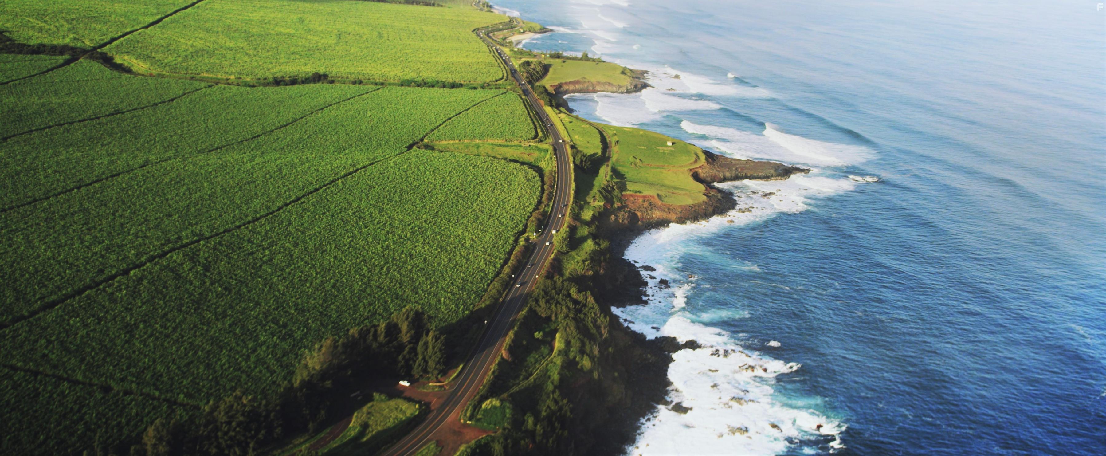 The Yard. Большая волна #2