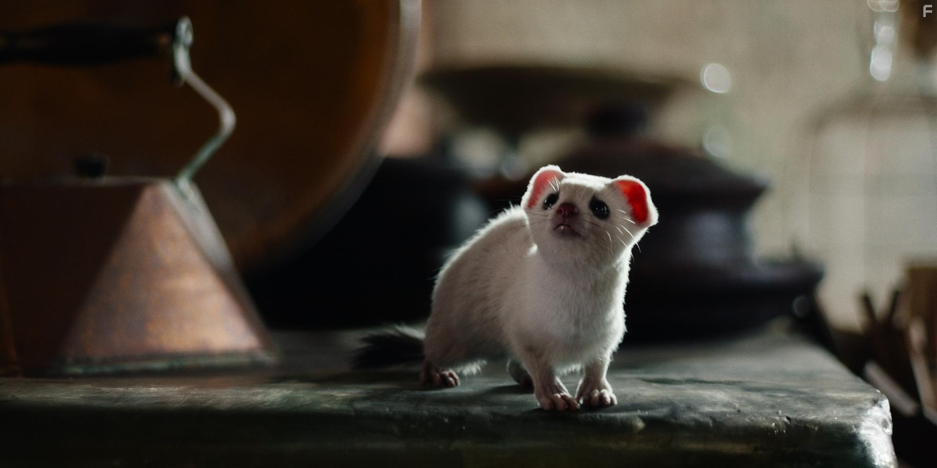 His Dark Materials (2019)