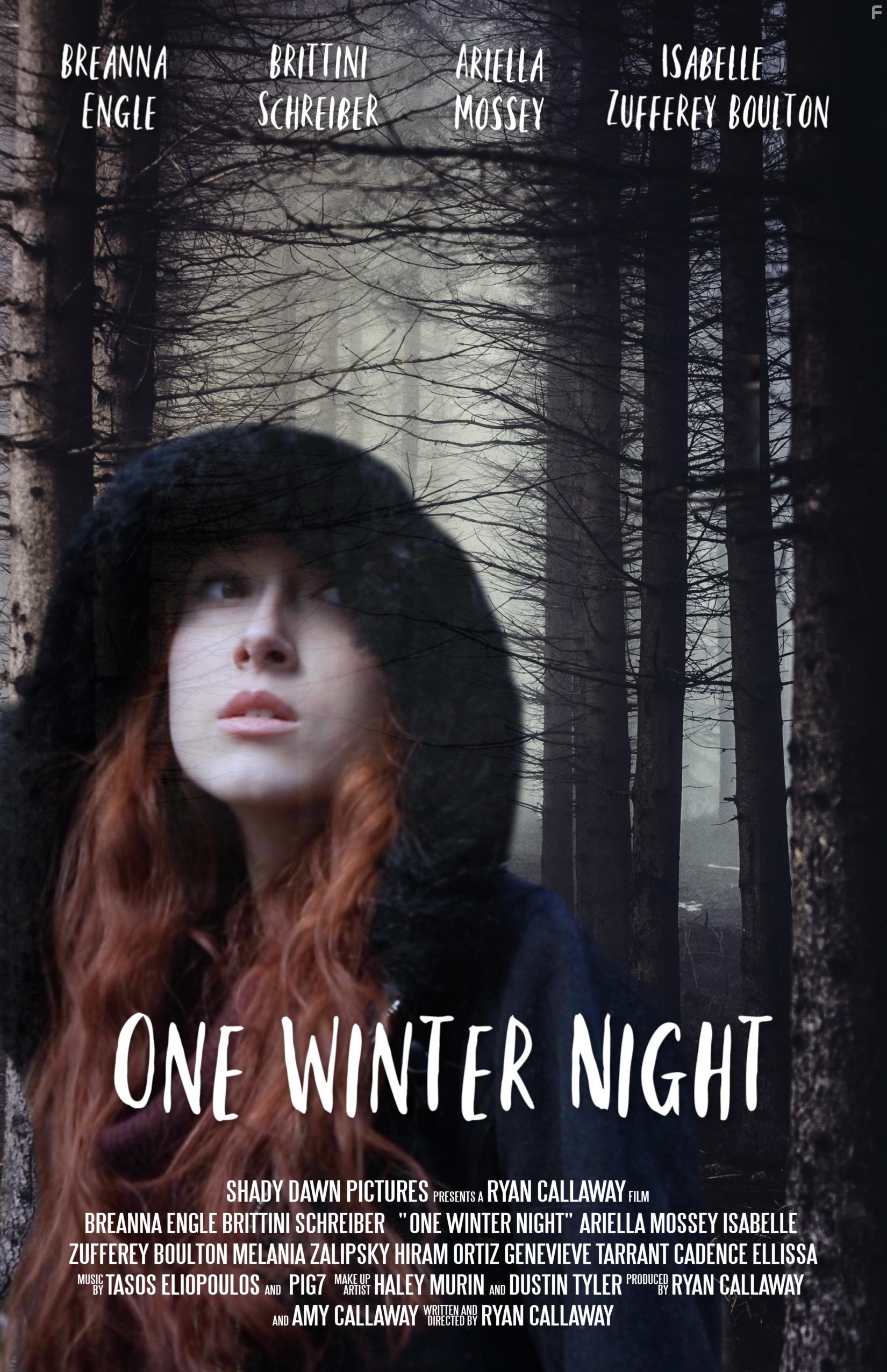 Breanna Engle in One Winter Night (2019)