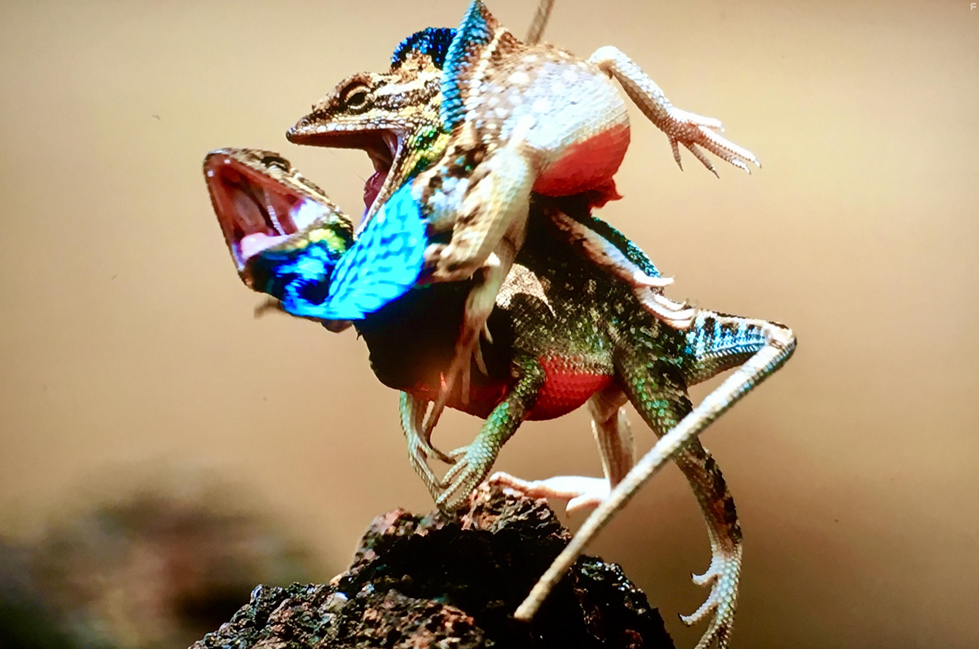 Семь миров, одна планета