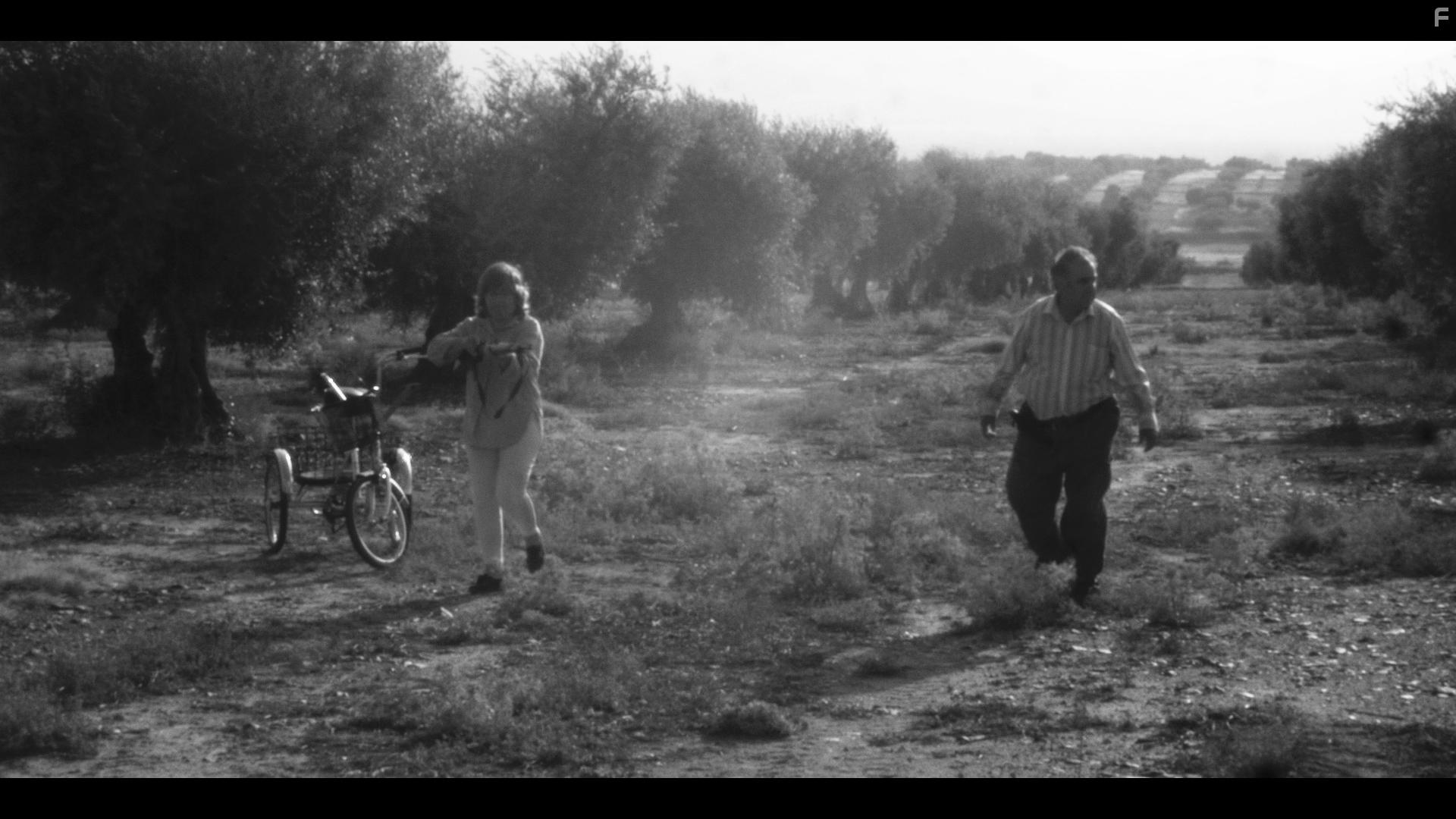 Jos Antonio Lpez Alcntara and Mara Pilar Mendoza Simn in Erial (2016)