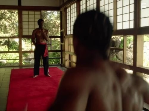 The LXD: The Legion of Extraordinary Dancers (2010)