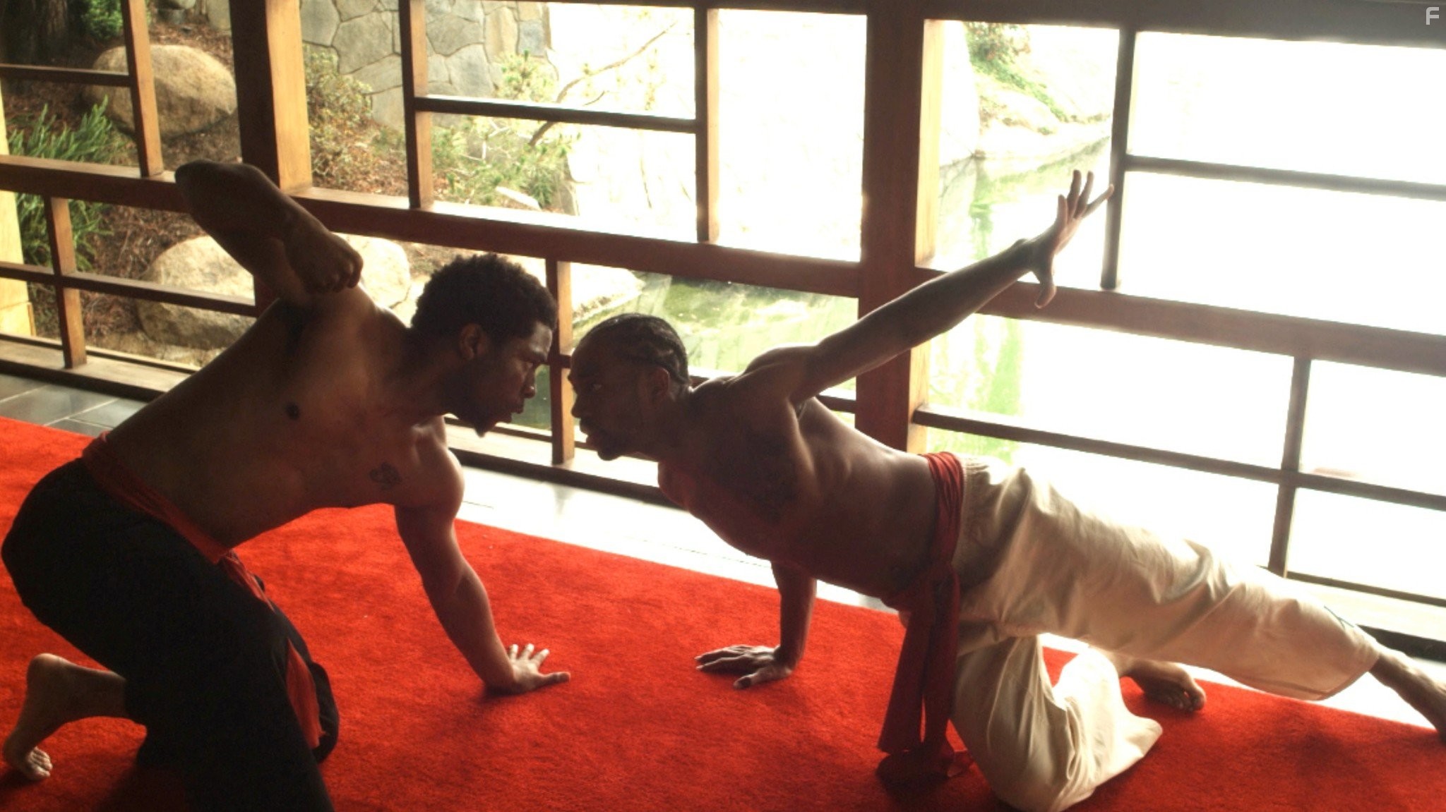 The LXD: The Legion of Extraordinary Dancers (2010)