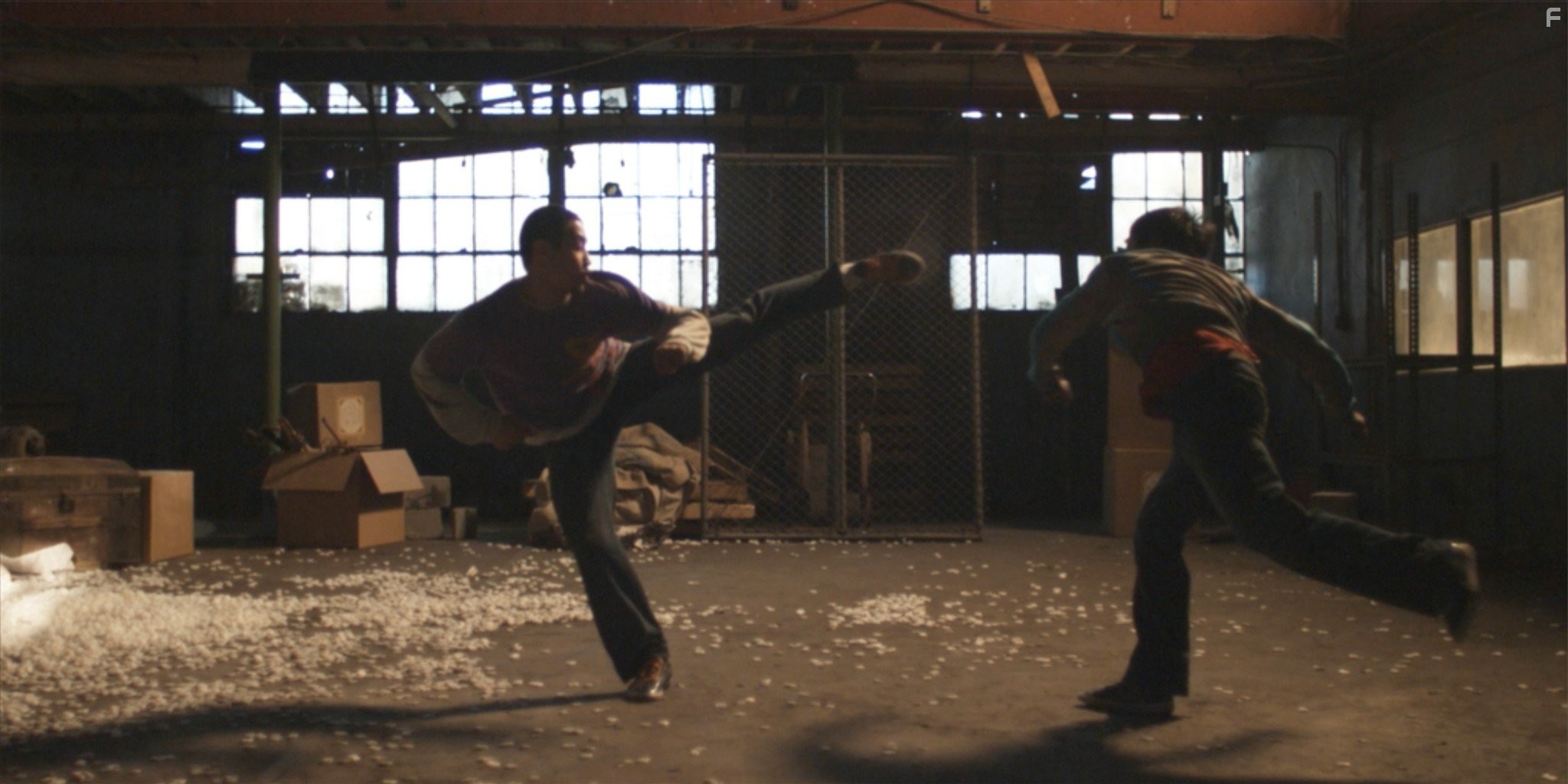 The LXD: The Legion of Extraordinary Dancers (2010)