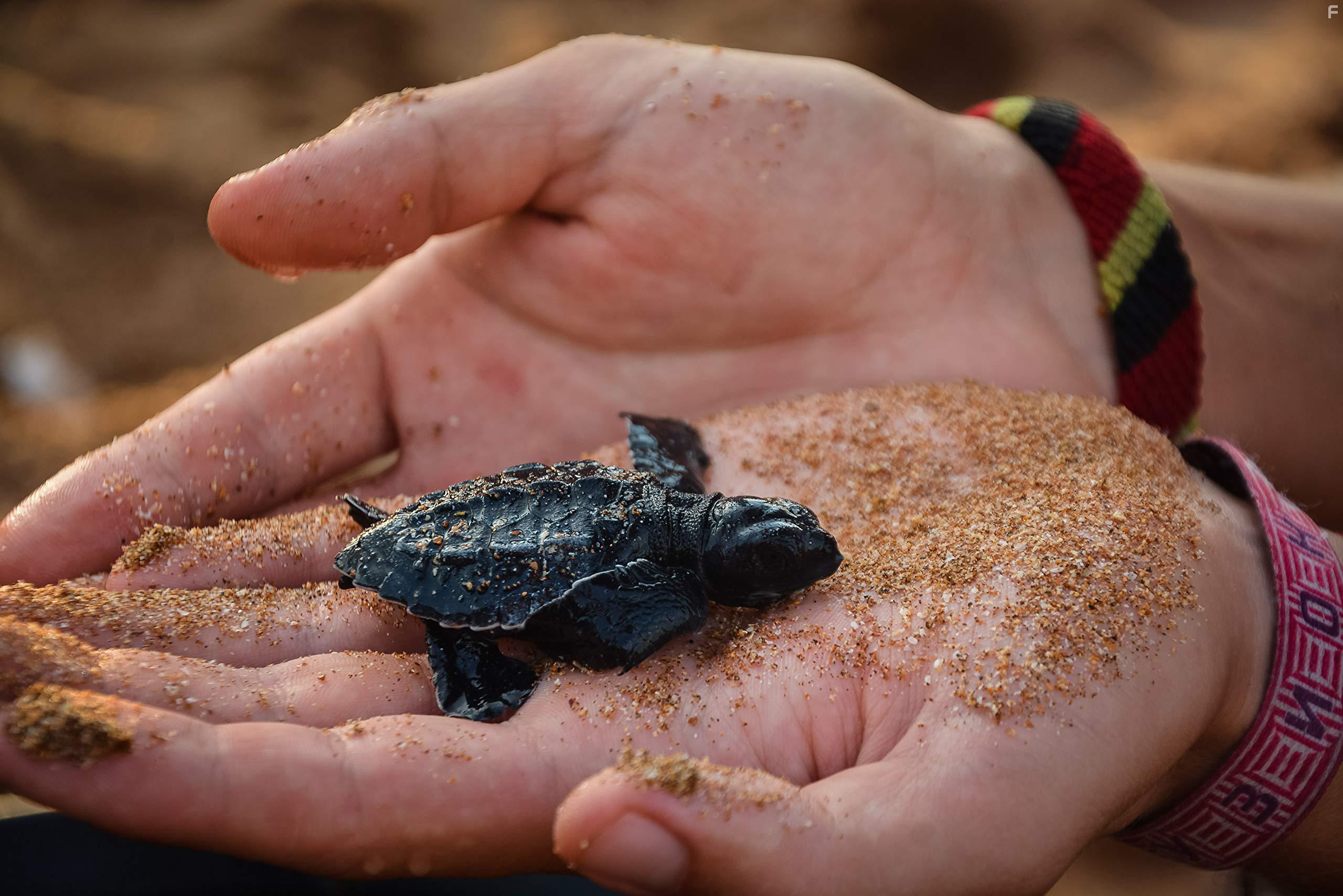 Reiss Aus: Zwei Menschen. Zwei Jahre. Ein Traum (2019)