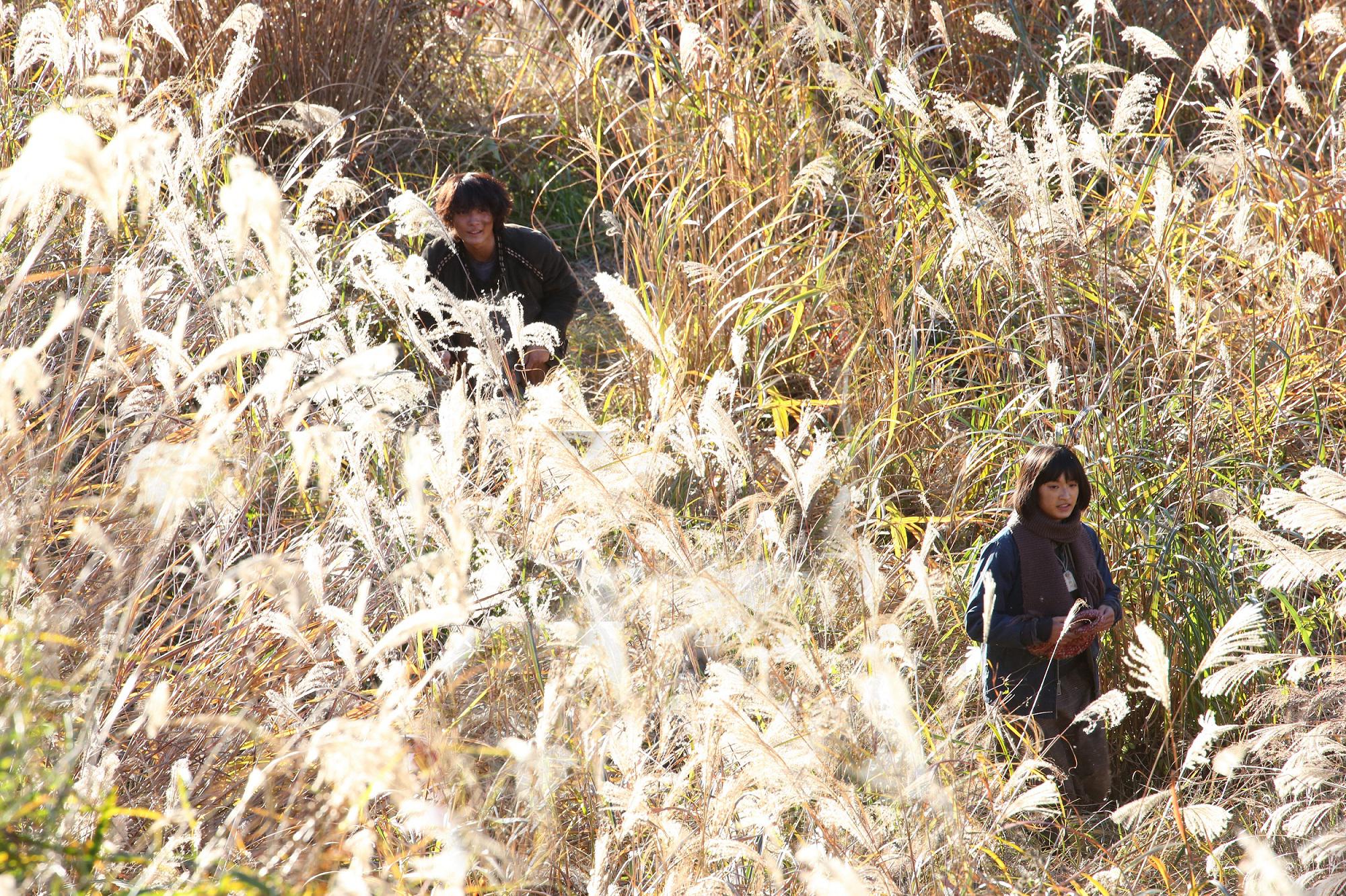 Rynosuke Kamiki and Mugi Kadowaki in Taiy (2016)