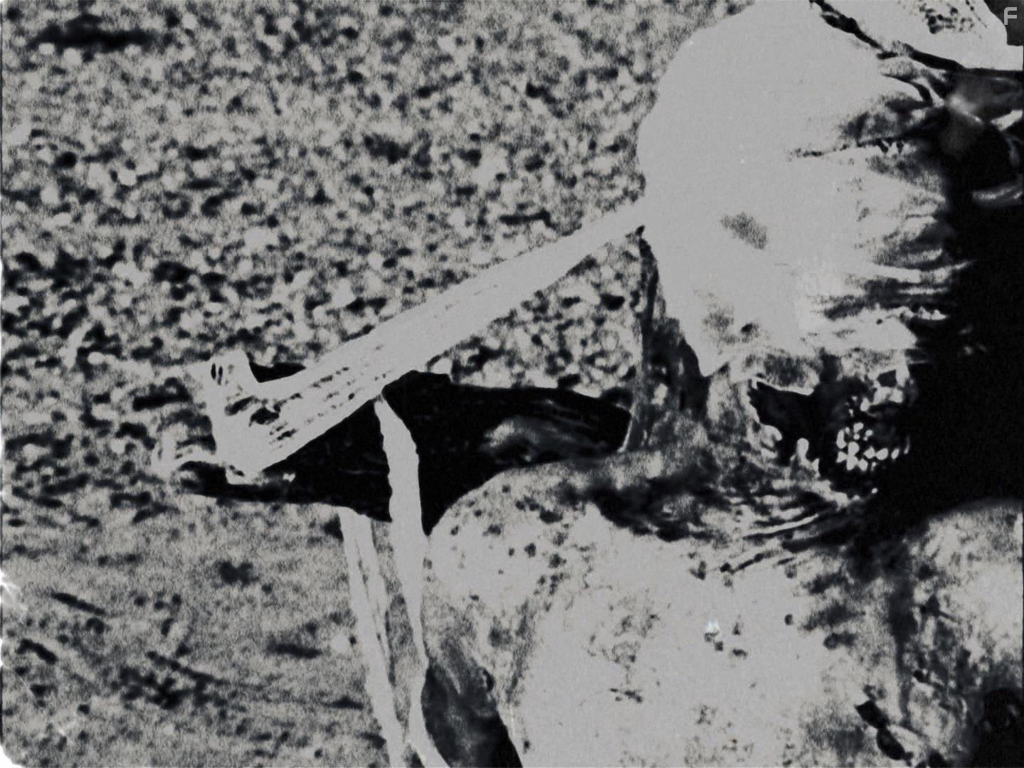 Flesh of the Void (2017)