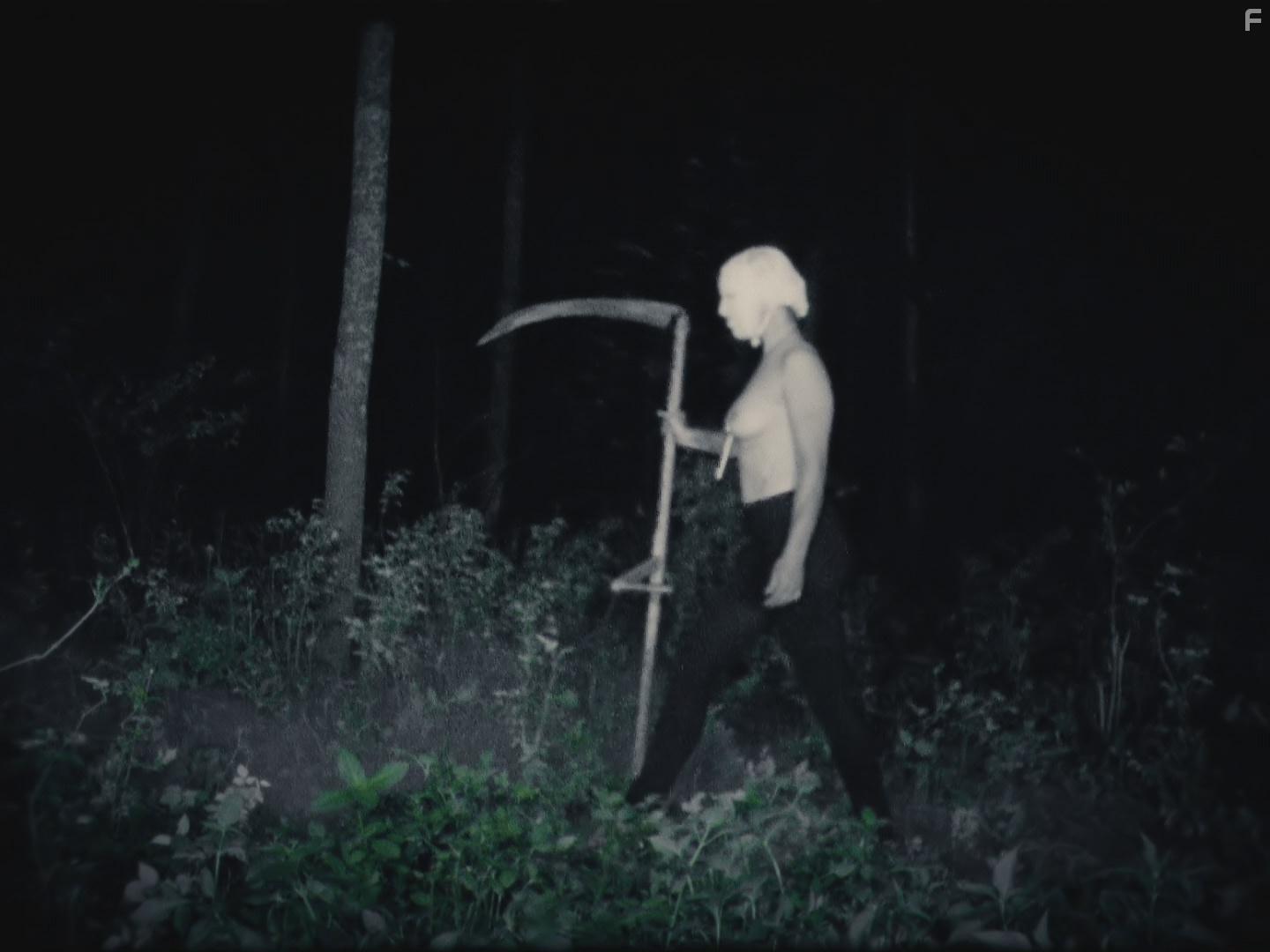 Flesh of the Void (2017)