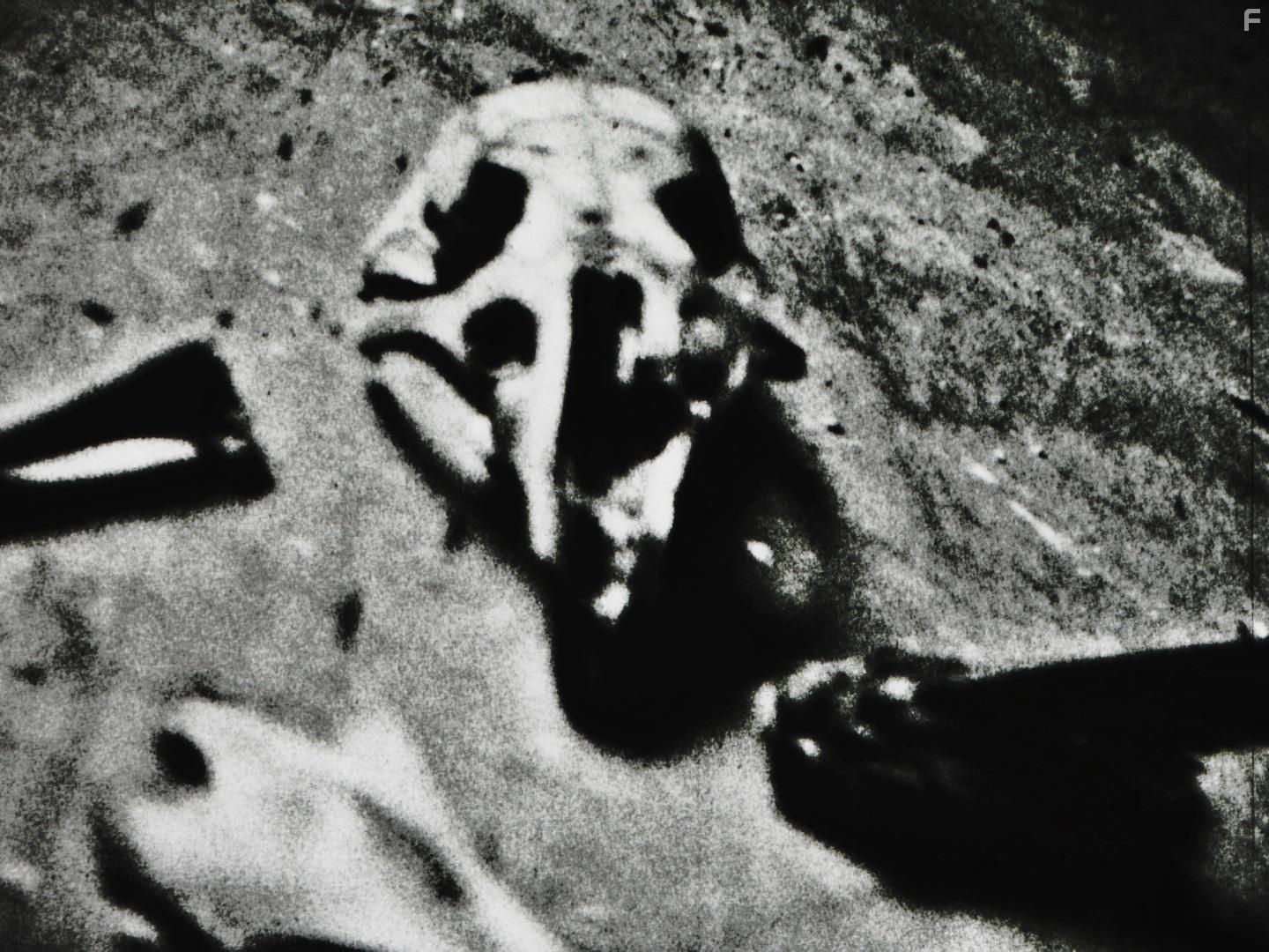 Flesh of the Void (2017)