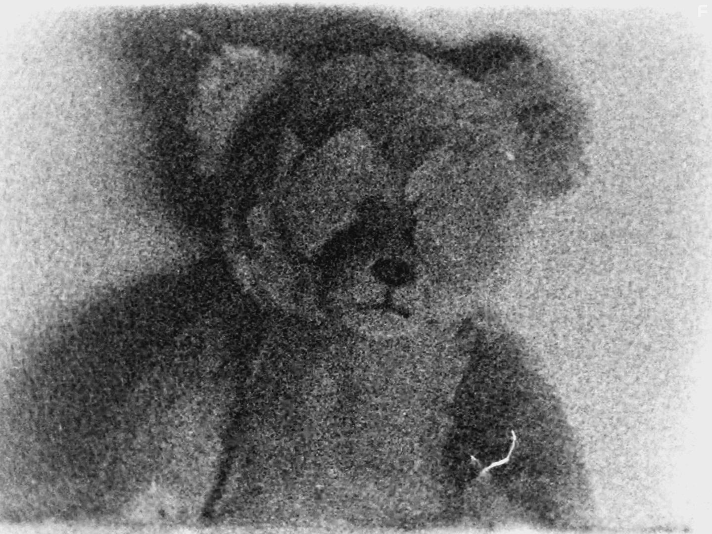 Flesh of the Void (2017)