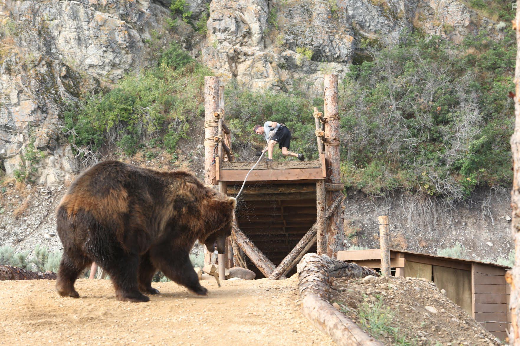 Человек против медведя