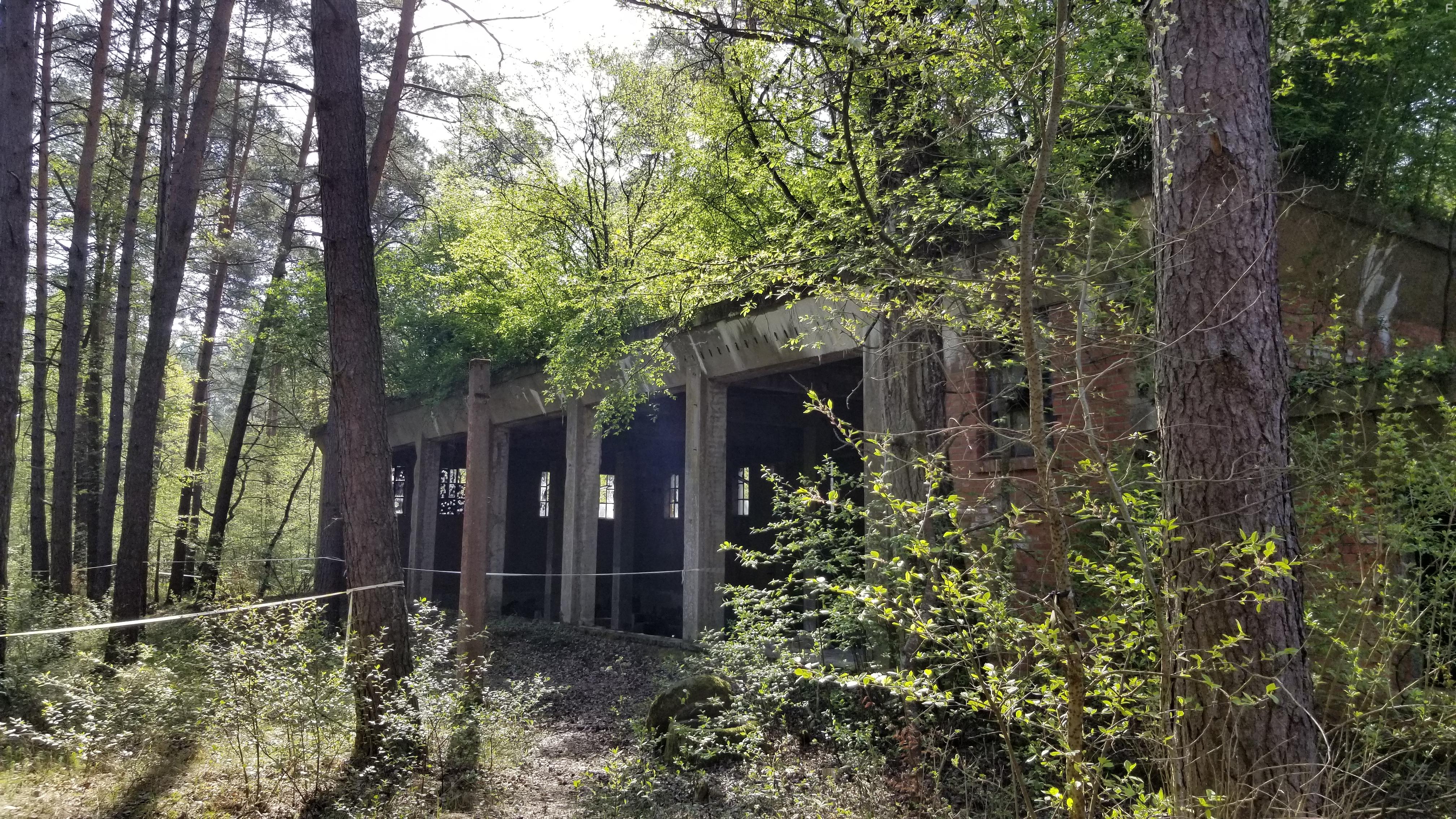 Secret Nazi Bases (2019)