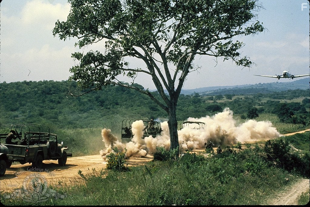 Под огнем (1983)