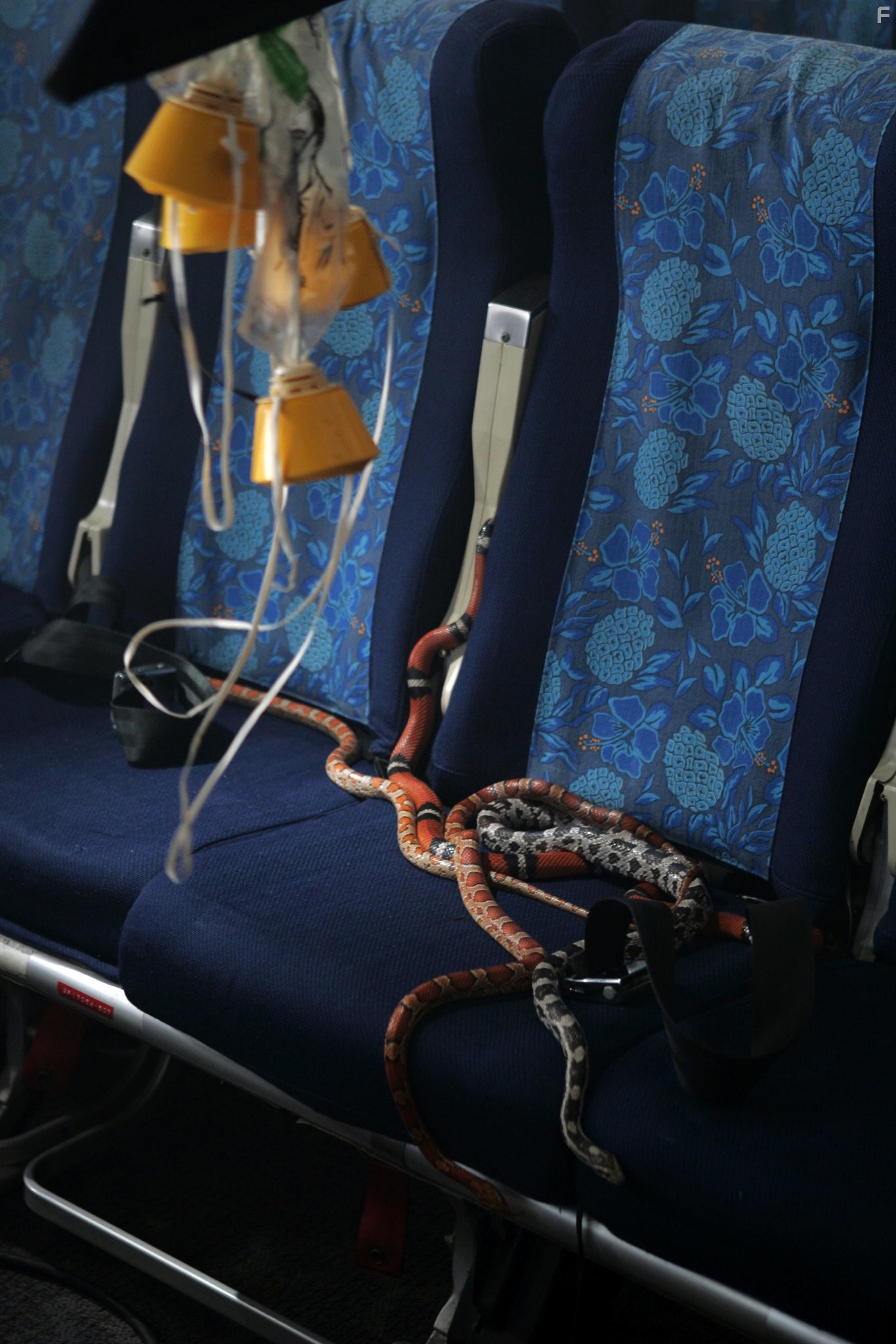 Змеиный полет (2006)