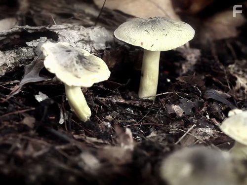 Filthy Riches (2014)