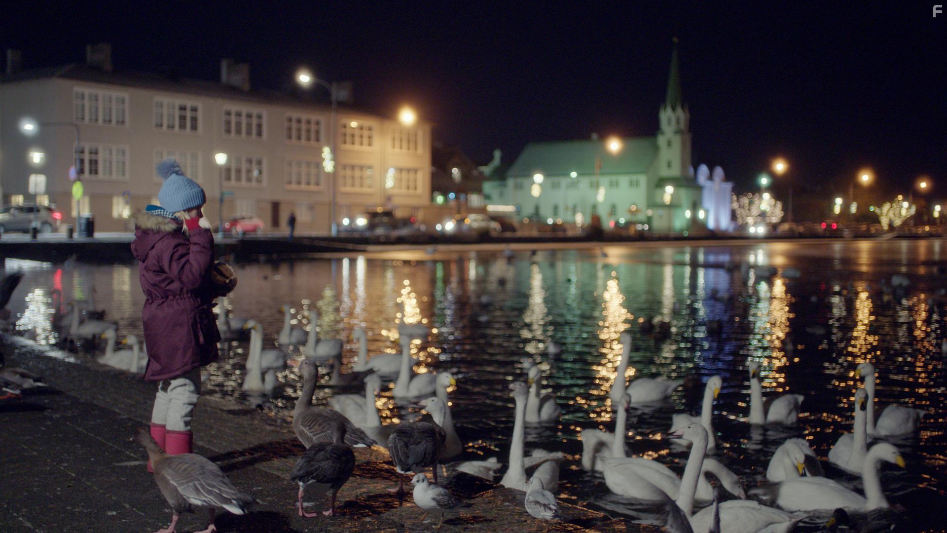 Love on Iceland (2020)