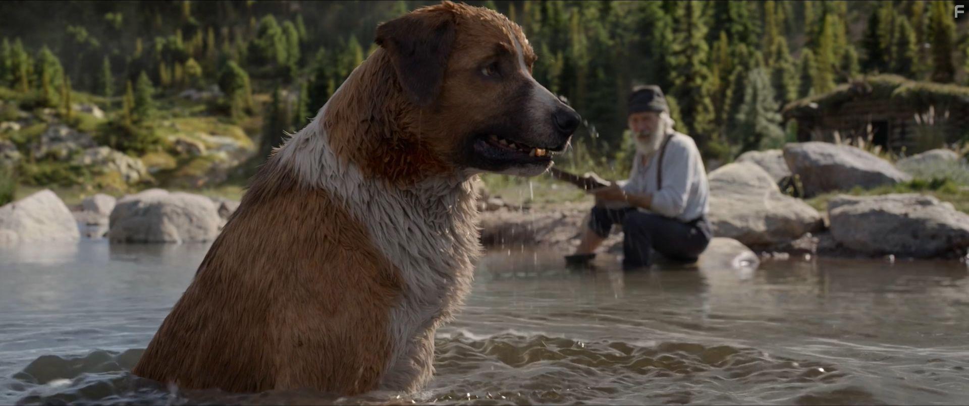 The Call of the Wild (2020)