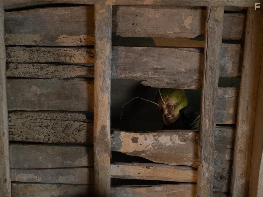 Davide Marotta in Pinocchio (2019)