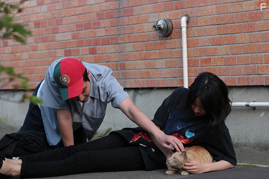 Tasuku Emoto and Shizuka Ishibashi in Kimi no tori wa utaeru (2018)