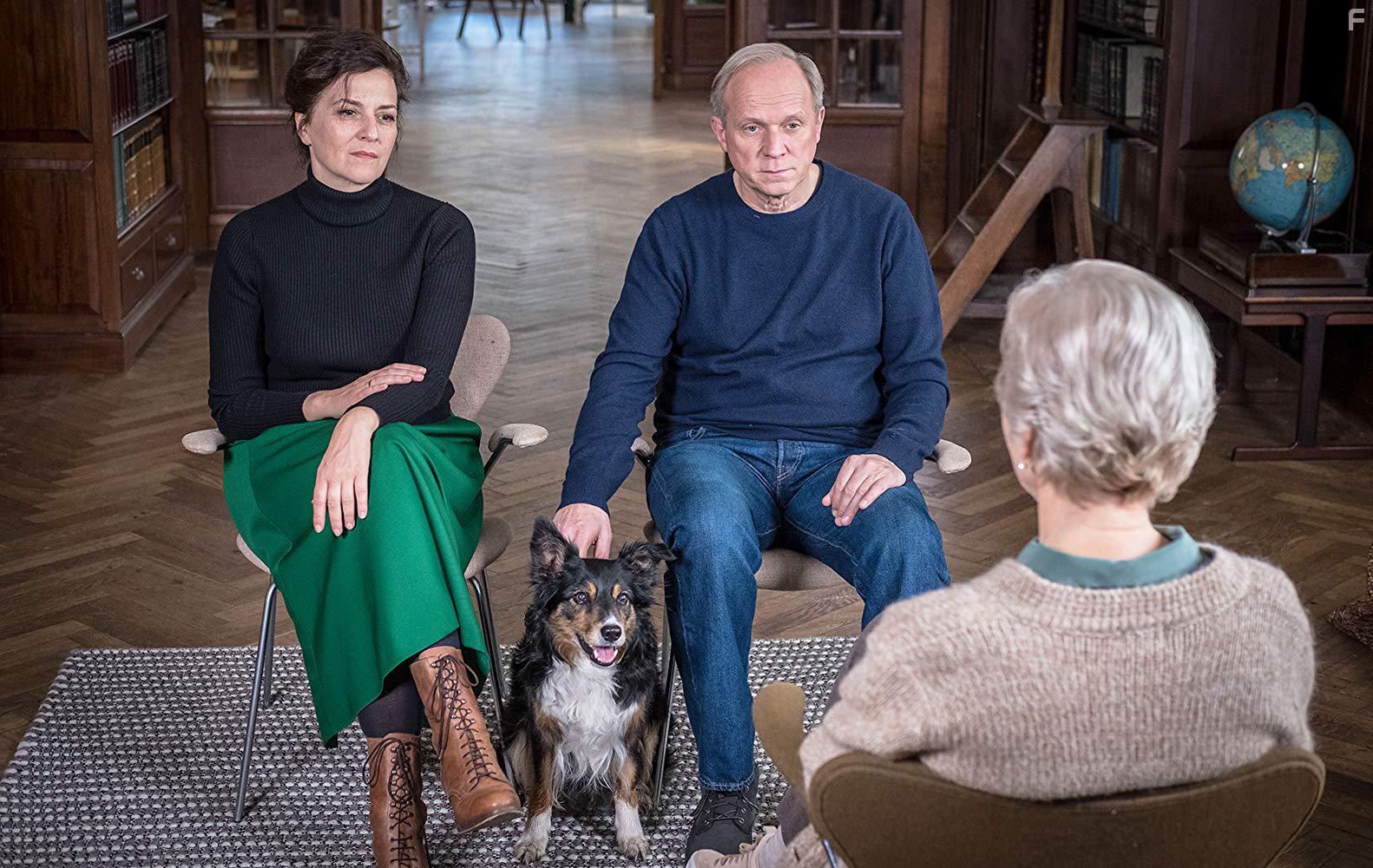 Кому достанется собака? #4