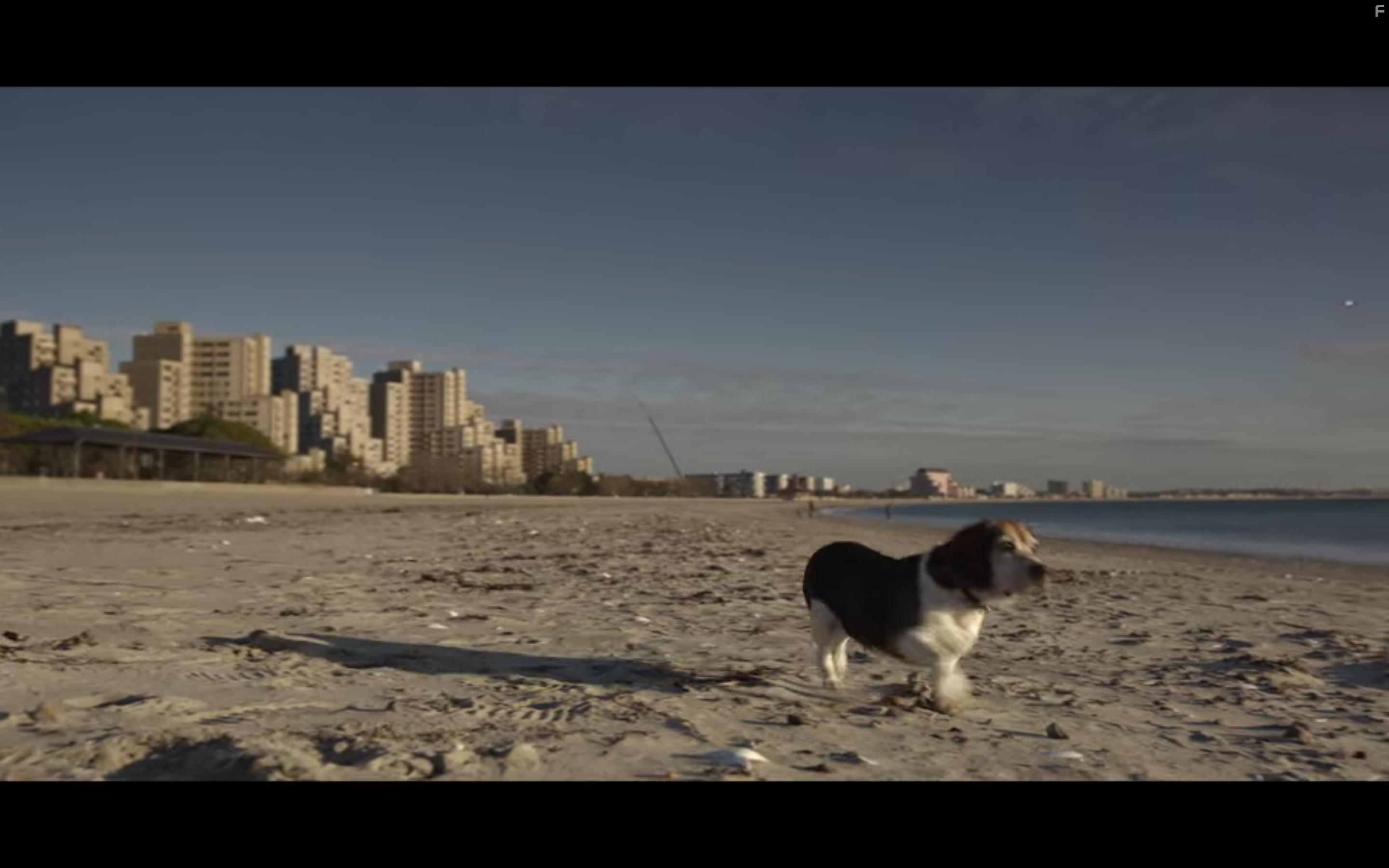 Spenser Confidential (2020)