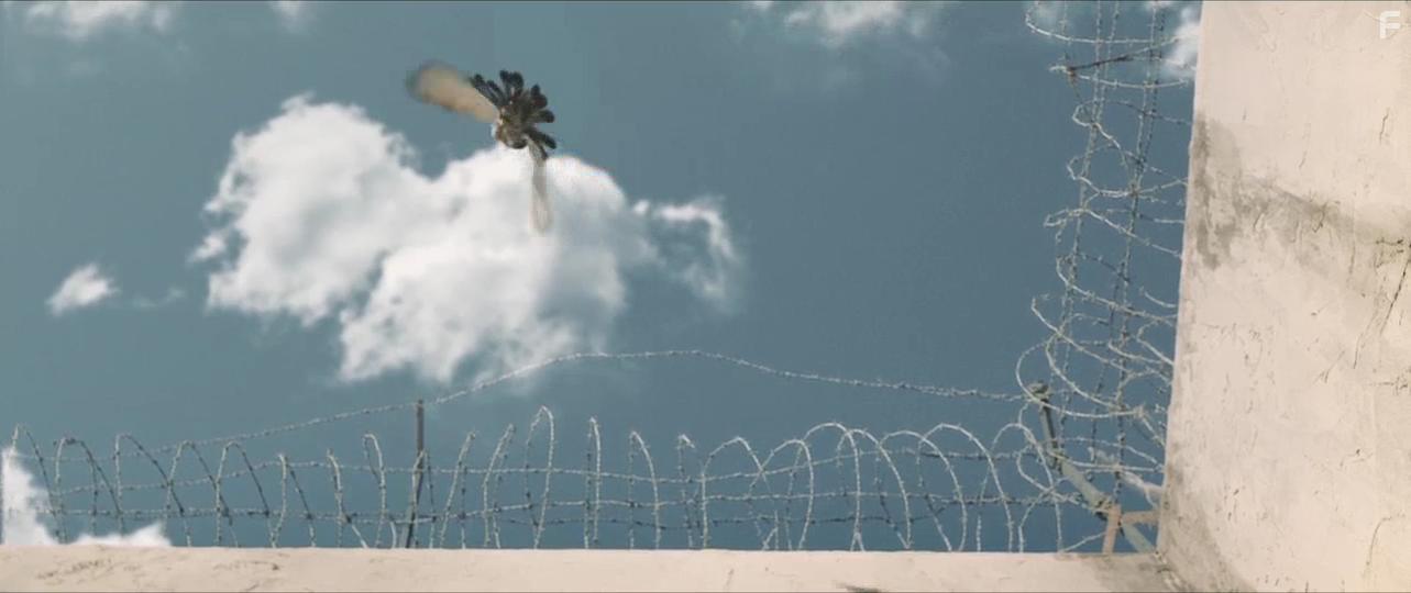 Miracle in cell NO.7 (2019)