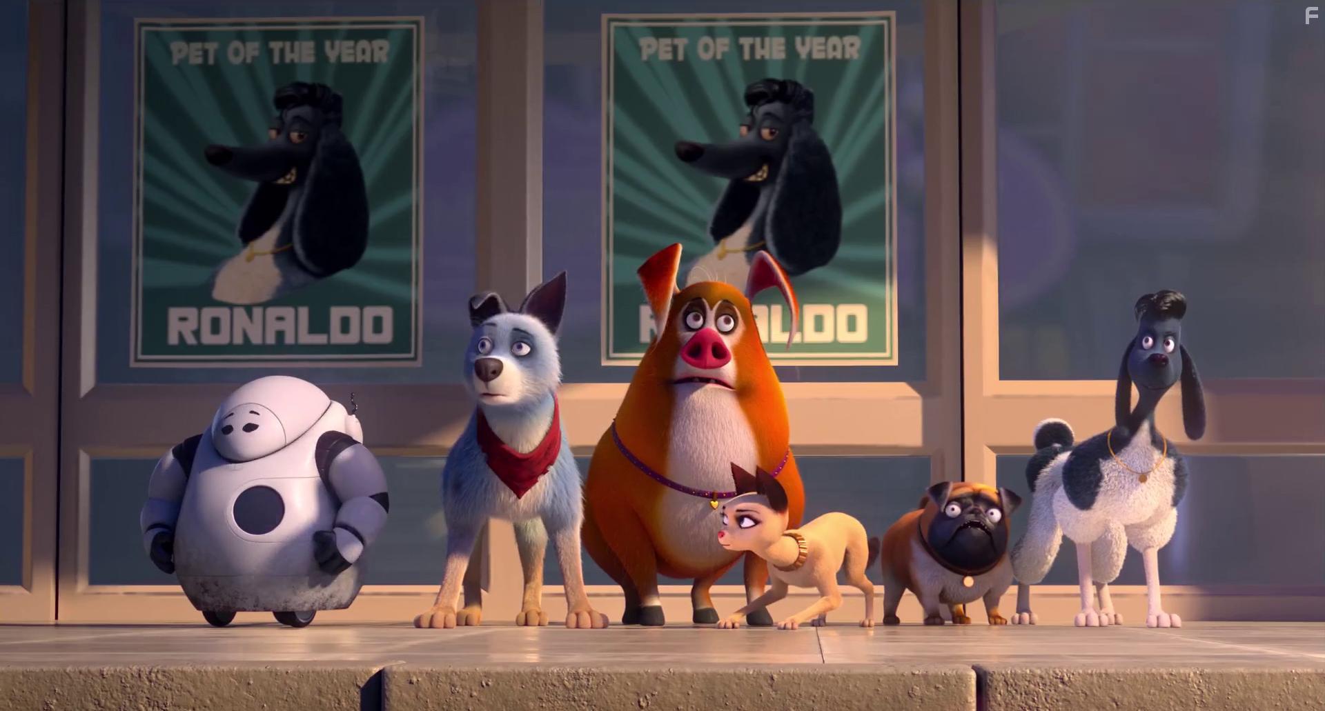 Jeff Burrell, Harvey Friedman, Marty Sander, Natalie Dormer, Patrick Roche, and Felix Auer in Pets United (2019)