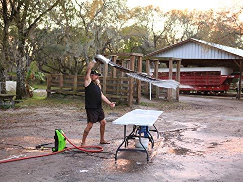 Guardians of the Glades (2019)