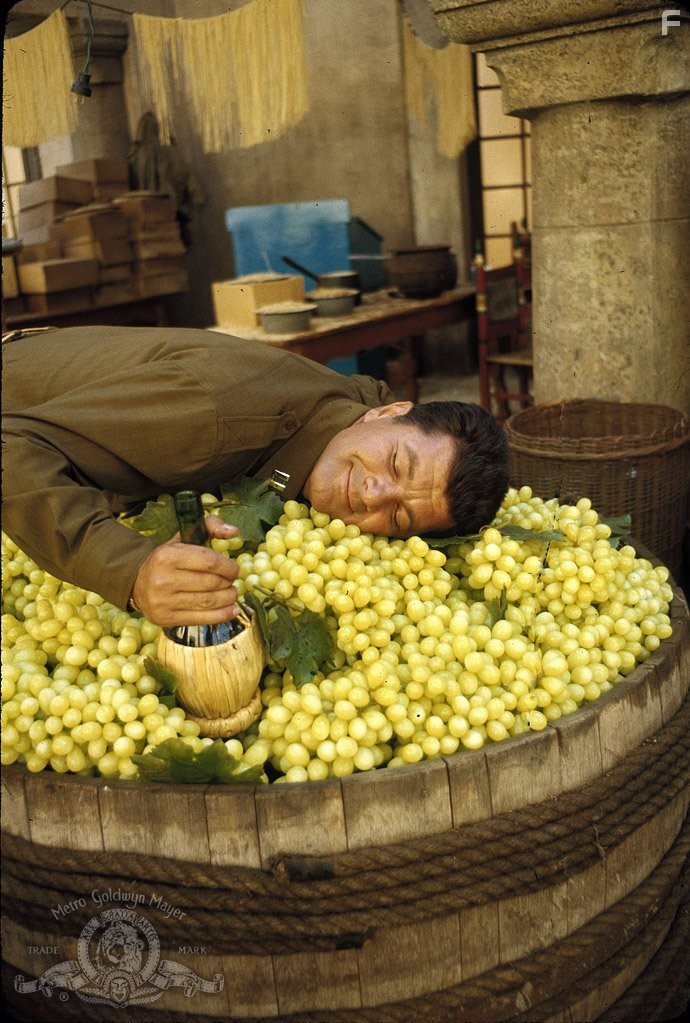 Что ты делал на войне, папа? (1966)