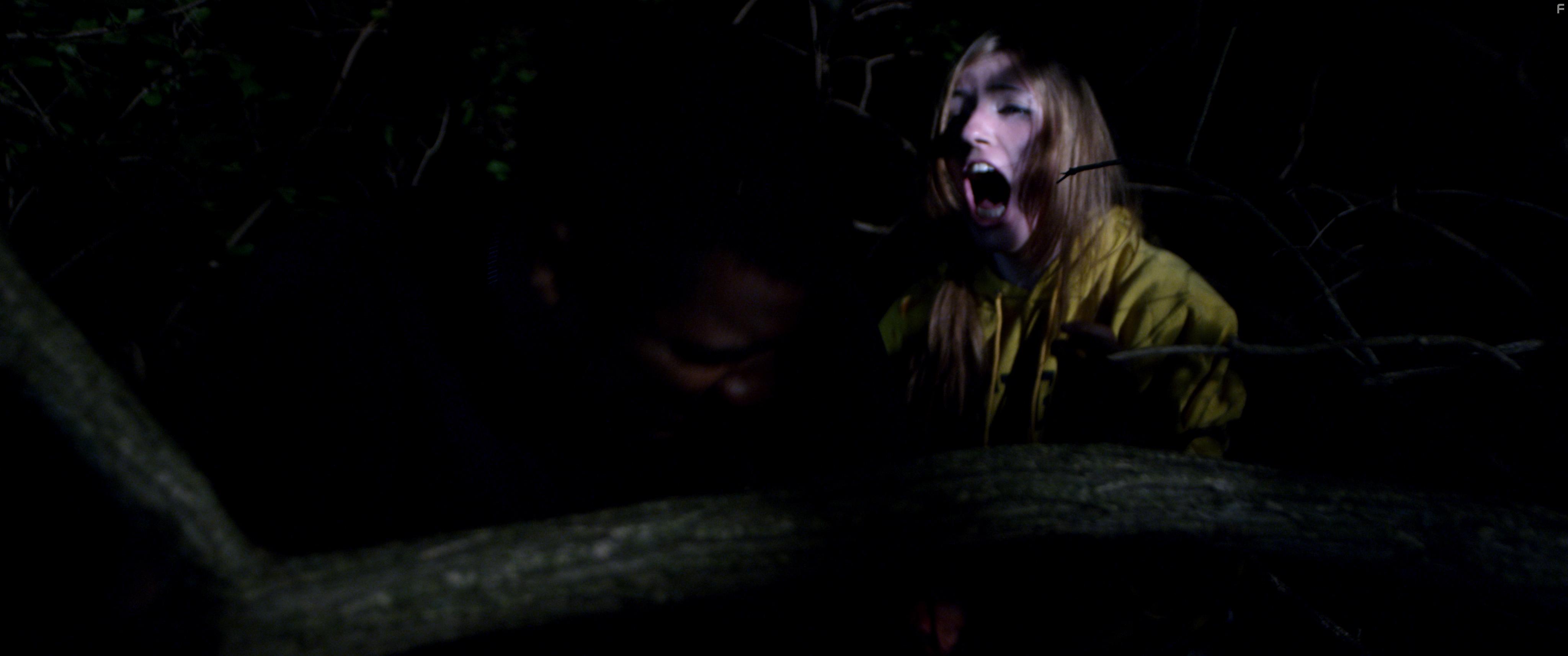 Jordan Chaney in The Wind Walker (2020)