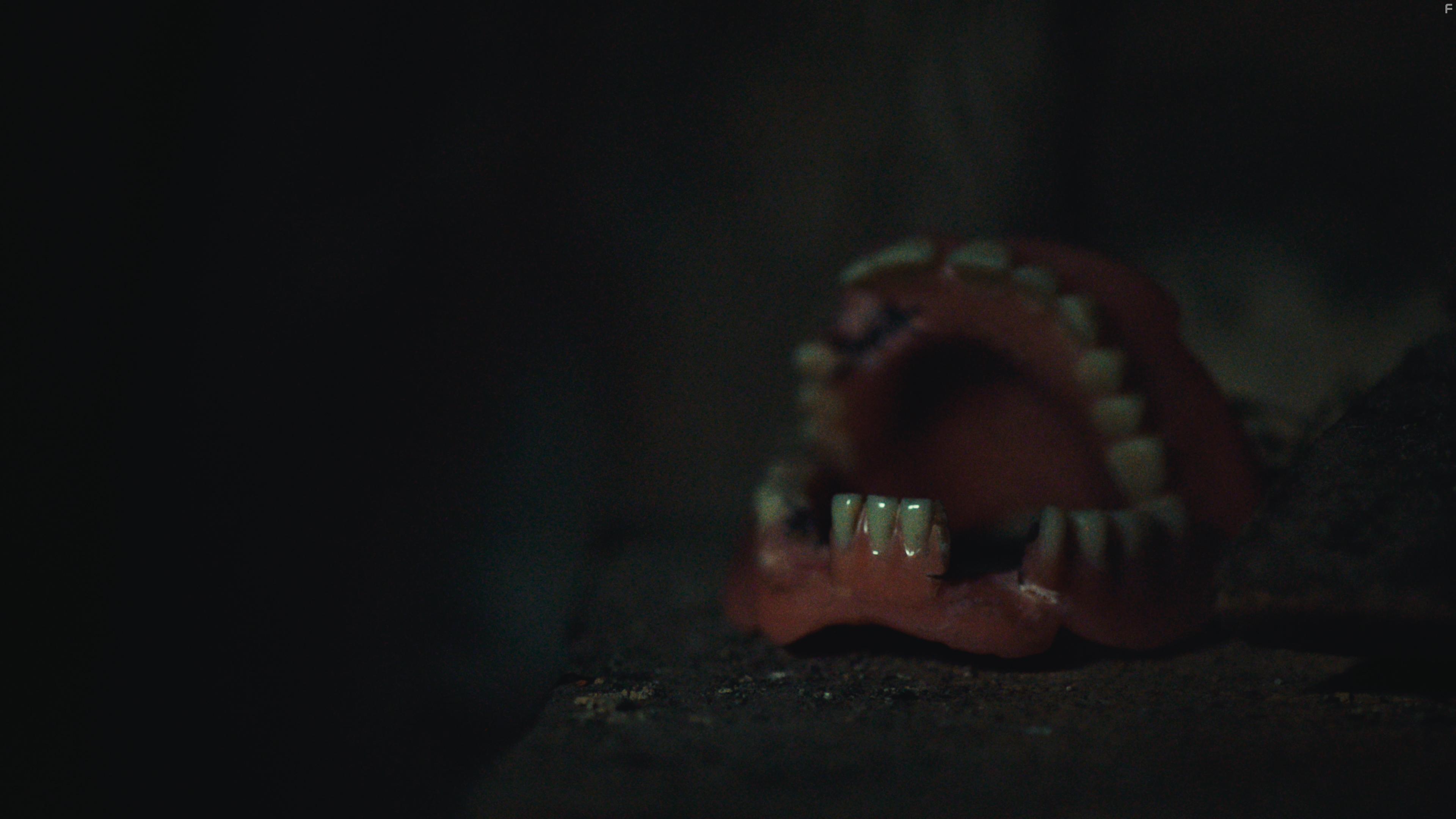 Время линьки