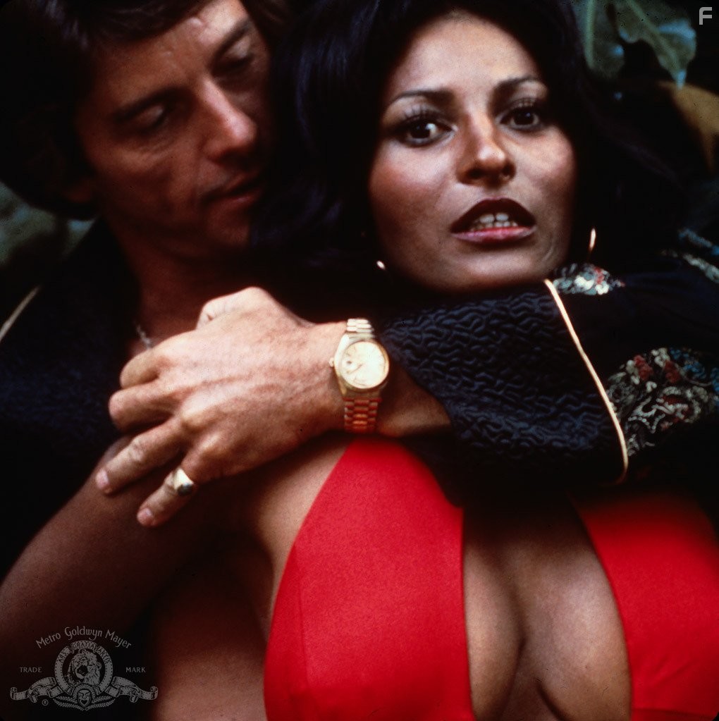 Pam Grier and Peter Brown in Фокси Браун (1974)