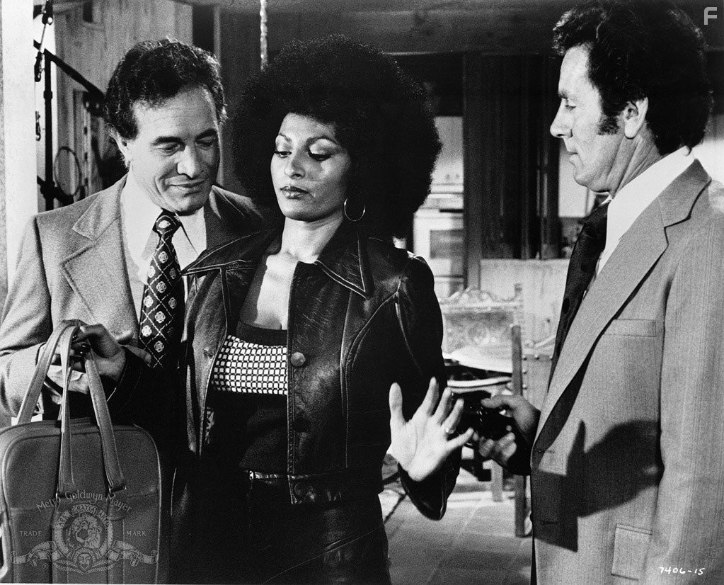 Pam Grier in Фокси Браун (1974)