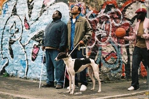 Медовый месячник (2005)