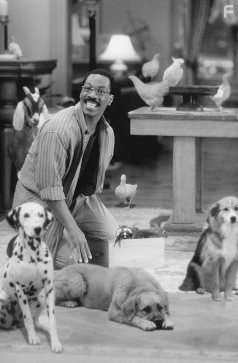 Eddie Murphy in Доктор Дулиттл (1998)