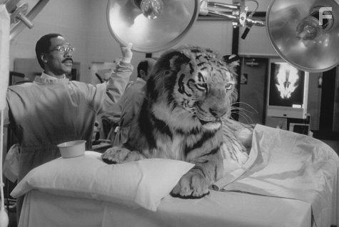 Eddie Murphy in Доктор Дулиттл (1998)