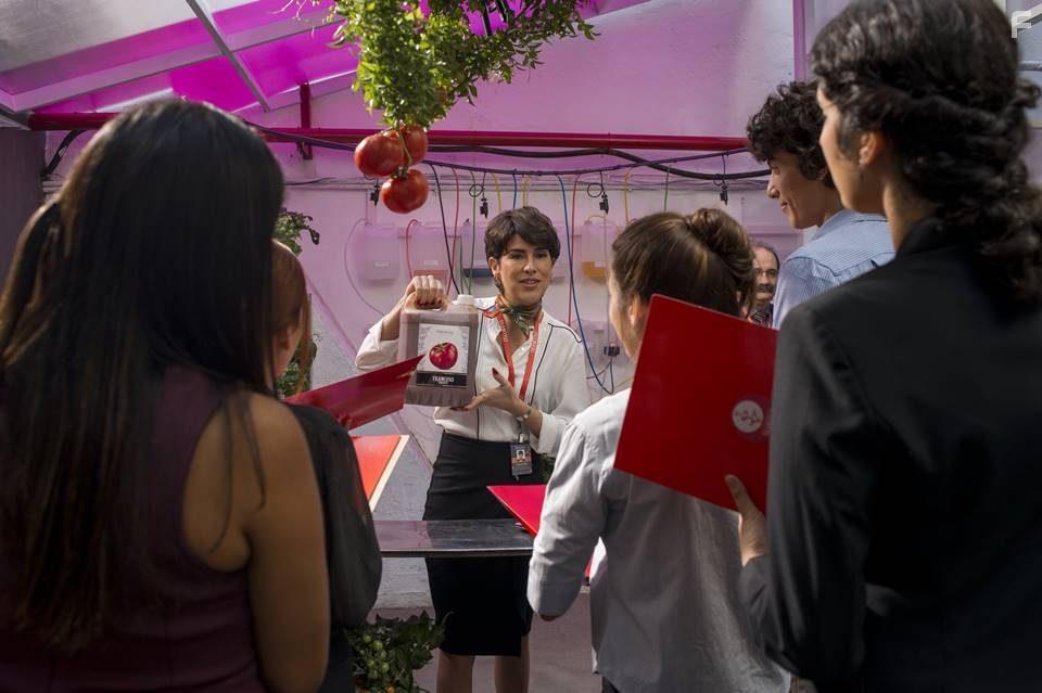 Fernanda Paes Leme in Ricos de Amor (2020)