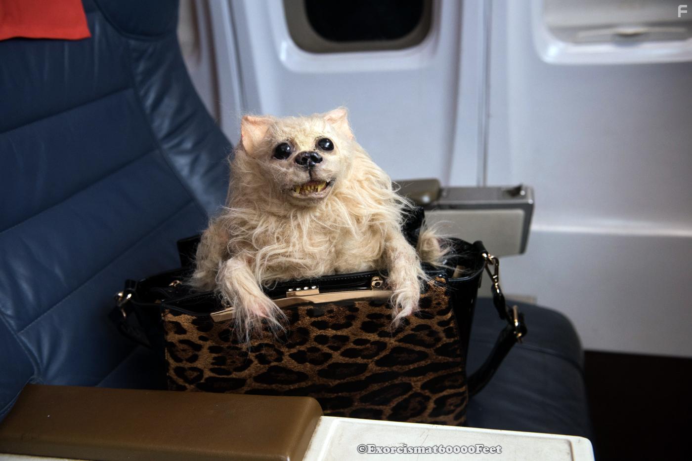 Exorcism at 60,000 Feet (2019)