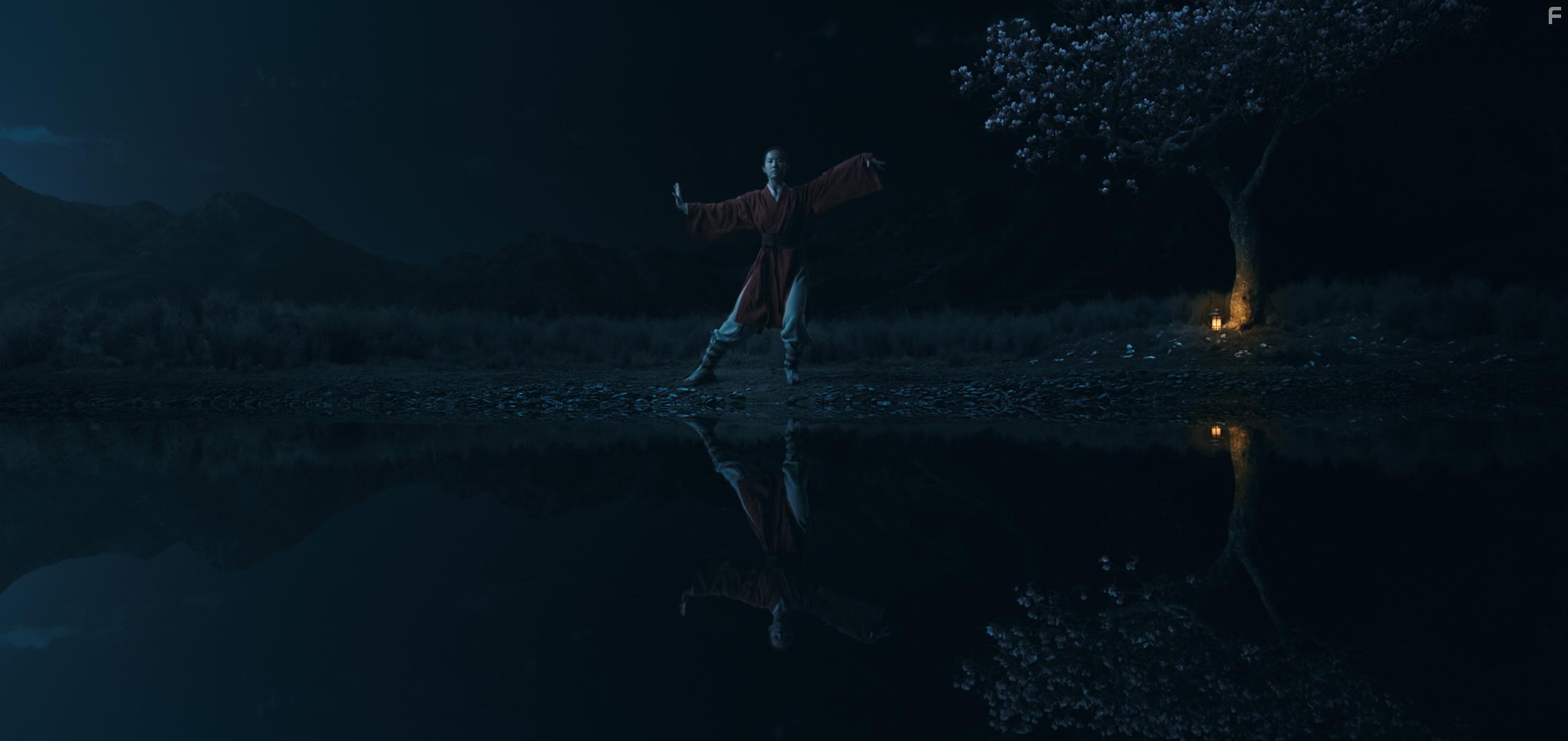 Yifei Liu in Mulan (2020)